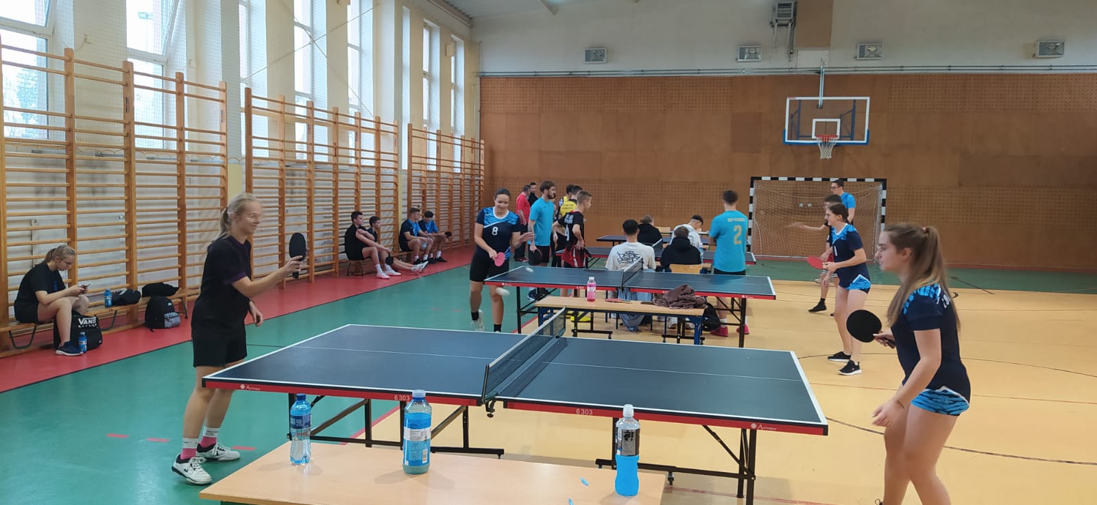 2024 tenis stołowy