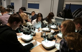 gdynia