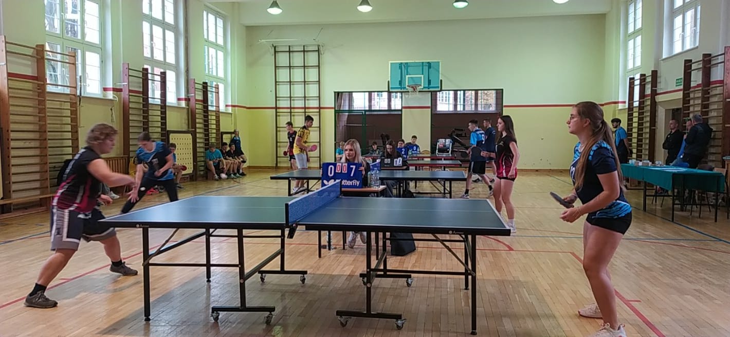 tenis stołowy