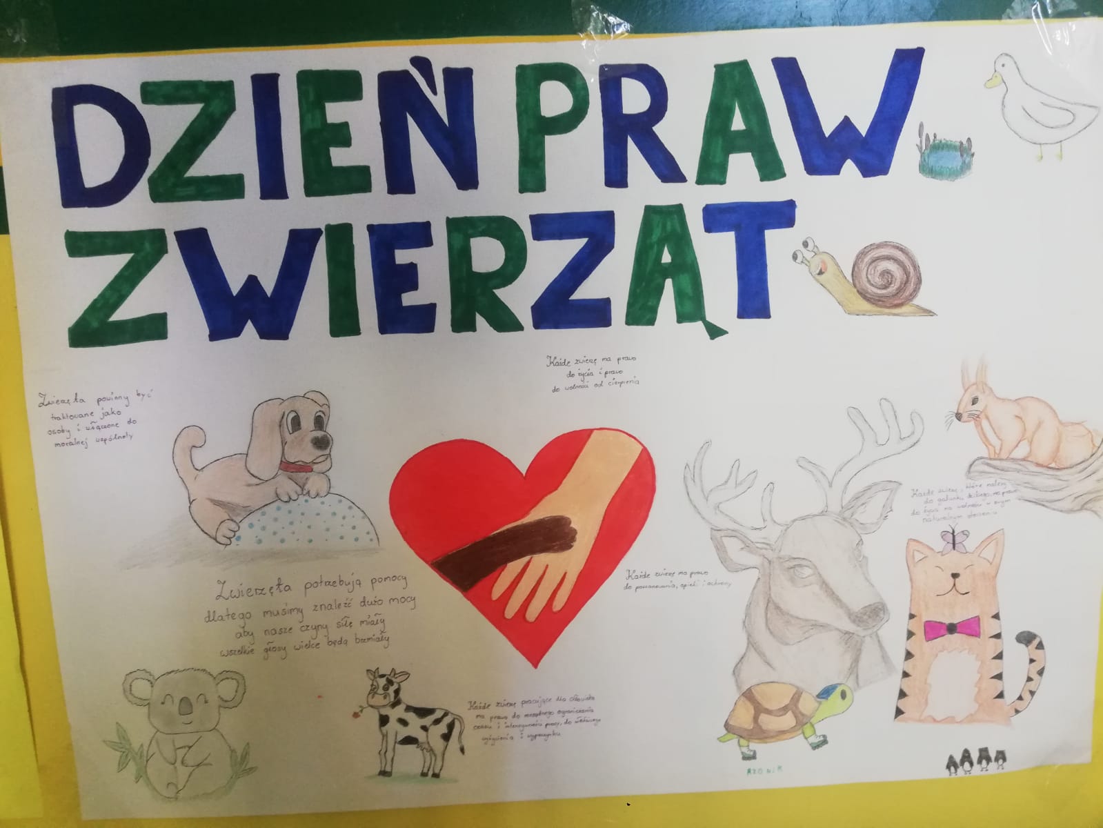 Ogólnopolski Dzień Praw Zwierząt.