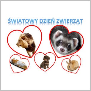 Światowy Dzień Zwierząt.